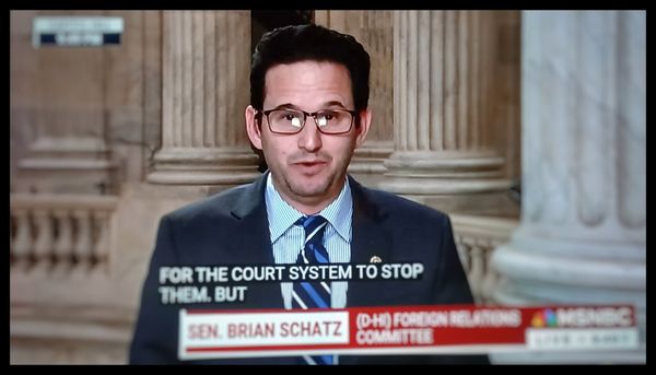 Law Office Of Susan G Taylor