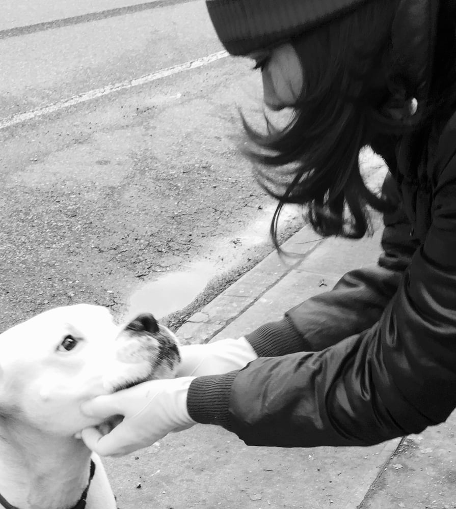 CALIFORNIA DOG WALKERS Updated August 2024 72 Photos & 13 Reviews