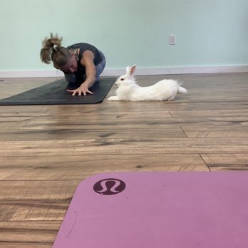 Firefly Yoga Company - Yoga Near Me - Ocoee, Florida