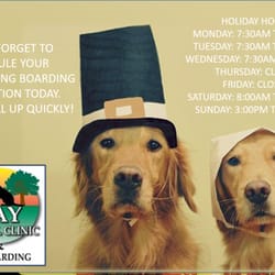Bay Animal Clinic