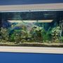 Photo of Sealife Services