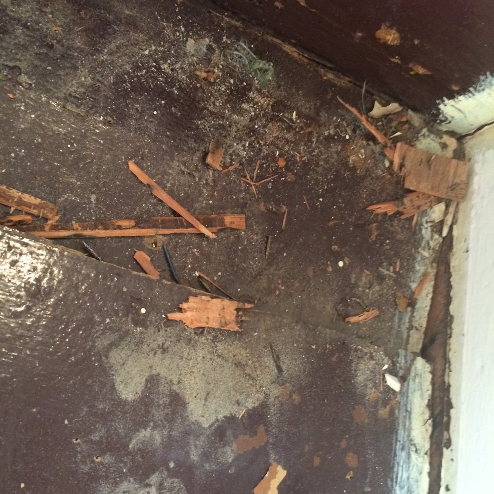 broken stair that had been covered with old carpet.