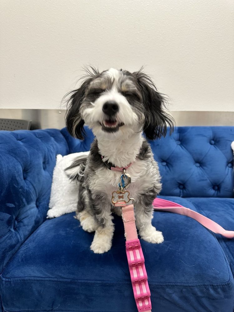 TRUBOND VETERINARY CENTER Updated May 2024 20 Photos & 34 Reviews