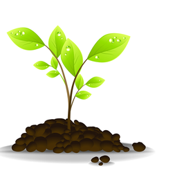 101PluS Online Marketing