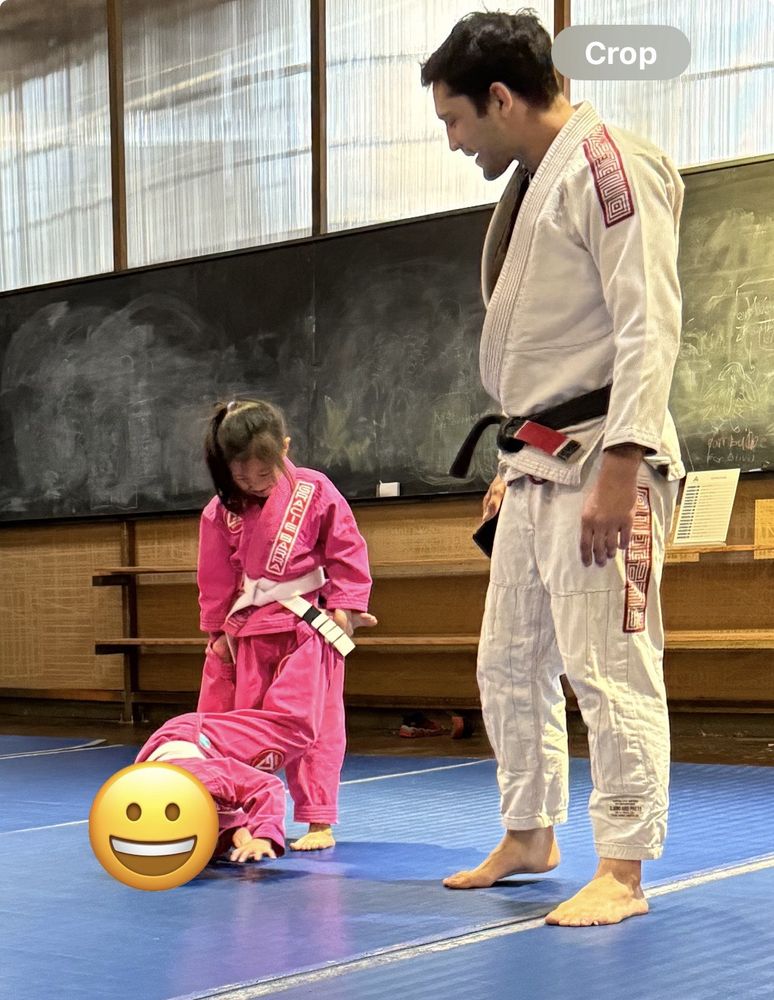 Animus Grappling Logo