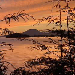 Dove Island Lodge