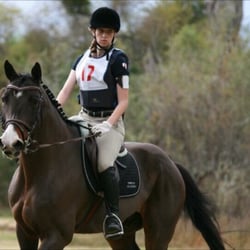 Equiis Elite Performance Horses - Eventing with wolfie