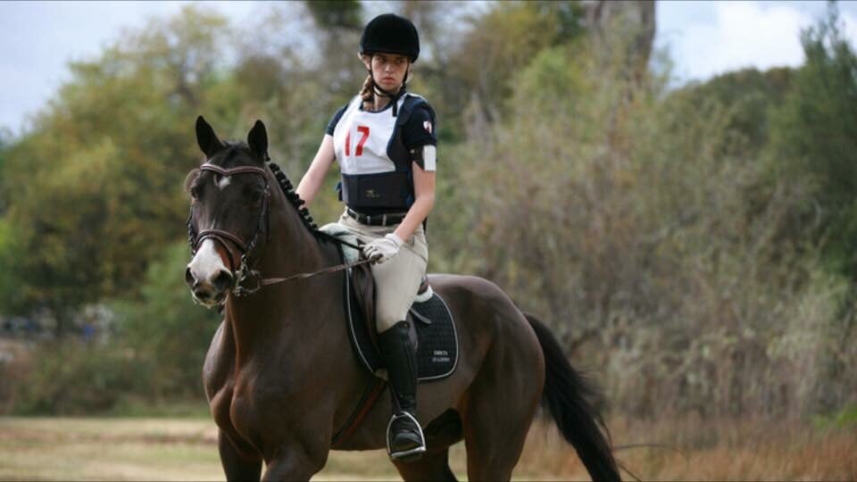 Equiis Elite Performance Horses - equestrian in San Juan Capistrano, CA