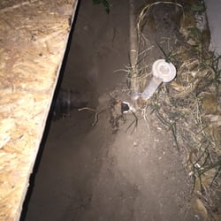 Rapid Plumbing - and this is where they snapped it at the sprinkler and just left it.