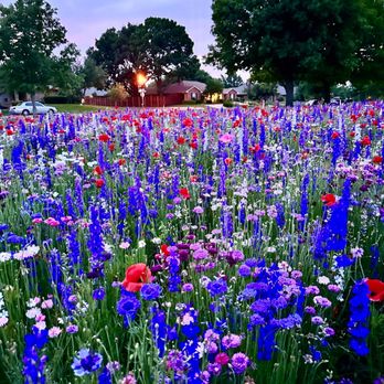 Crowley Park - Parks Near Me - Richardson, Texas