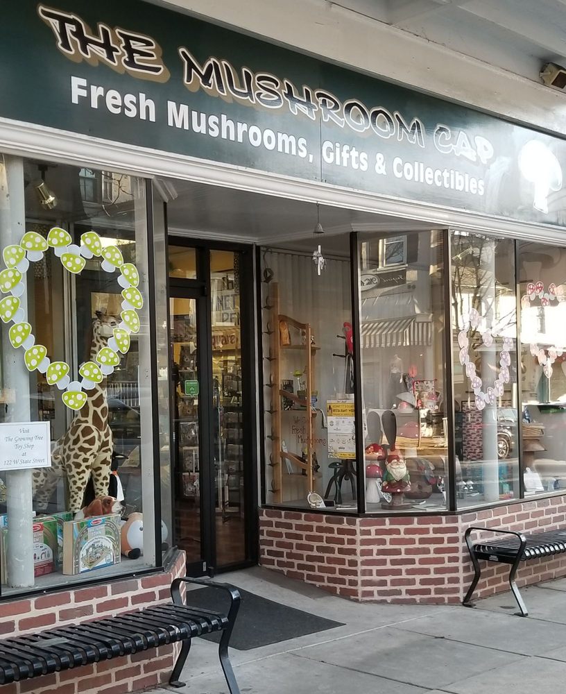 THE MUSHROOM CAP Updated September 2024 14 Photos & 16 Reviews