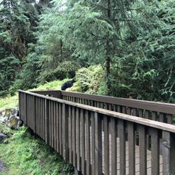 Anan Wildlife Observatory
