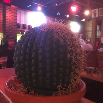 Texas Roadhouse - Fake cactus decor - Steakhouses Near Me - St. Charles, Missouri Texas Roadhouse - Fake cactus decor - Steakhouses Near Me - St. Charles, Missouri