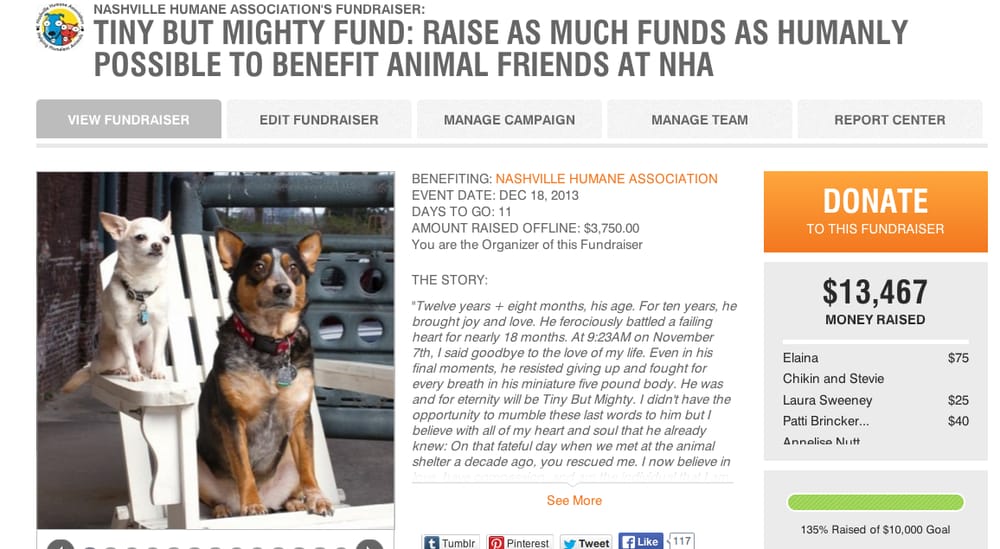 Tiny But Mighty Fund - social services organization in Nashville, TN