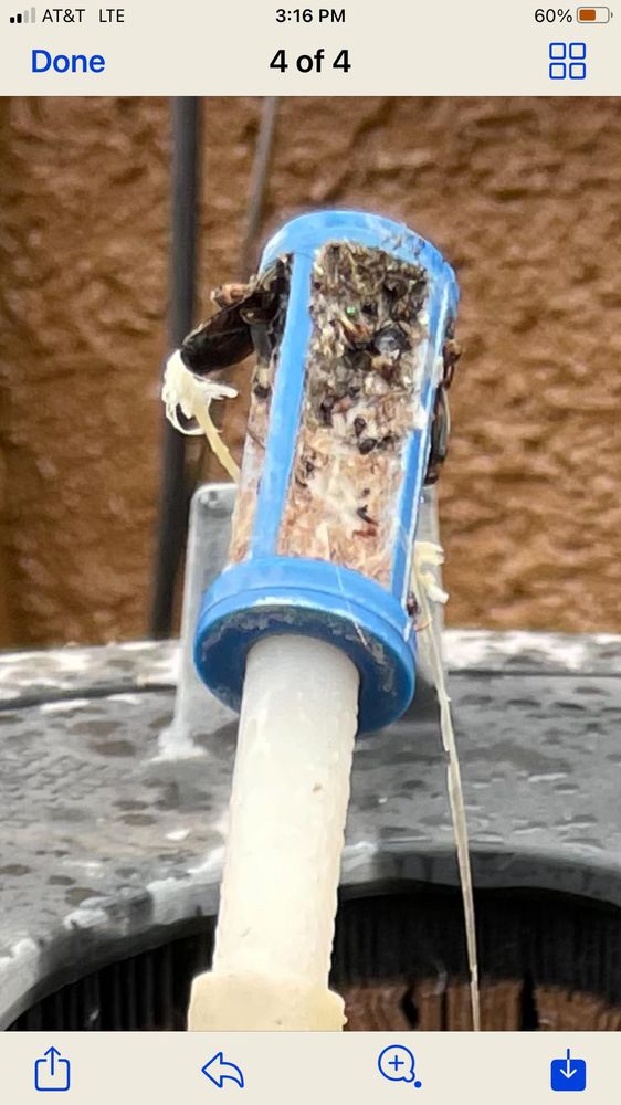 Patio Pools & Spas Sierra Vista - veterans service organization in Sierra Vista, AZ