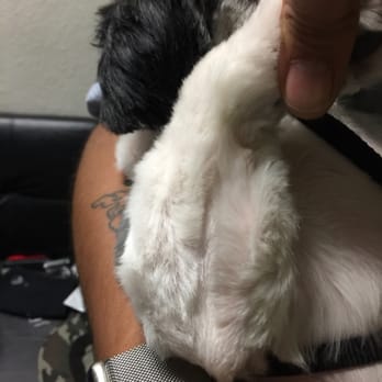 Petco - Pet Stores Near Me - Davis, California