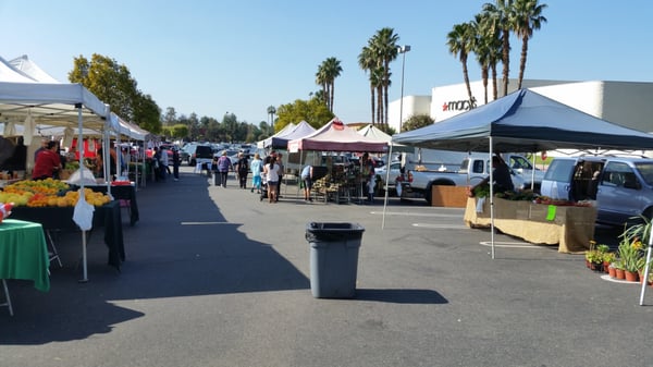 Galleria @ Tyler Farmers Market by null