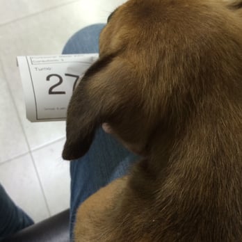 Centro Pet - Veterinarians Near Me - Buenos Aires, C Centro Pet - Veterinarians Near Me - Buenos Aires, C