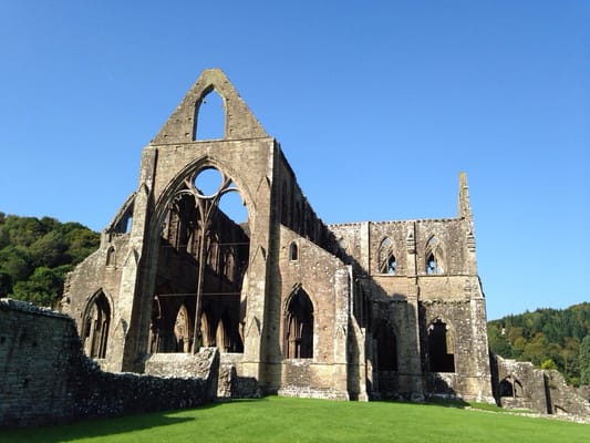 Tintern Abbey by null