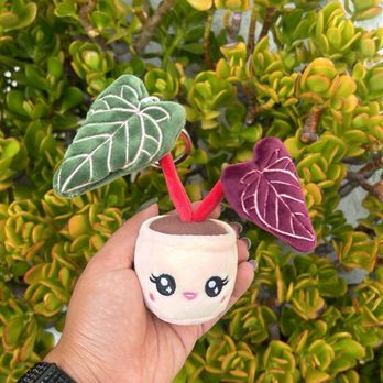 The Plant Sitter - One of the plushies from inside - Nurseries & Gardening Near Me - San Jose, California The Plant Sitter - One of the plushies from inside - Nurseries & Gardening Near Me - San Jose, California