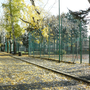 Photo of Parco dell'Albereta