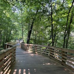 South Peachtree Creek Trail - Trail