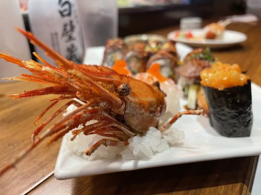Asahi sushi by null