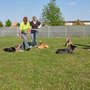 Photo of Ach Du dicker Hund