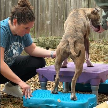 AUSTIN CANINE REHAB & WELLNESS - Updated May 2026 - 19 Photos