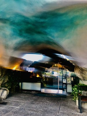 Anthony's Fish Grotto by null