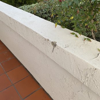 Alta Roofing & Waterproofing - Stucco Damage - Roofing Near Me - San Diego, California Alta Roofing & Waterproofing - Stucco Damage - Roofing Near Me - San Diego, California