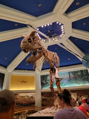 DINOSAUR by null