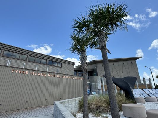 Tybee Island Marine Science Center by null
