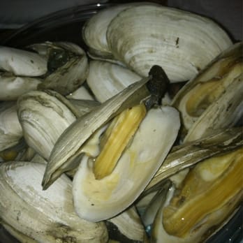Jeremy's Ale House - Steamers!! - Seafood Near Me - Freeport, New York Jeremy's Ale House - Steamers!! - Seafood Near Me - Freeport, New York