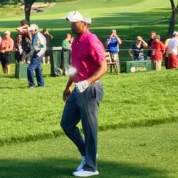 Tiger practicing