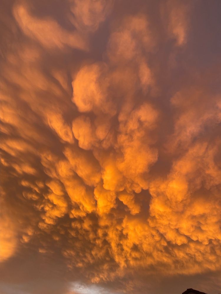 city-of-mesa-19-photos-mesa-arizona-local-flavor-yelp