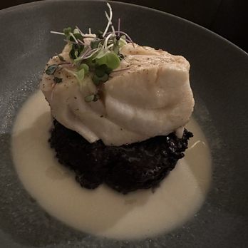 Bouzy - Steamed Grouper - Wine Bars Near Me - Tampa, Florida Bouzy - Steamed Grouper - Wine Bars Near Me - Tampa, Florida