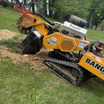 Root Wrecker - Tree Services Near Me - Washington, Pennsylvania Root Wrecker - Tree Services Near Me - Washington, Pennsylvania
