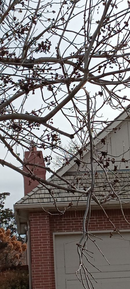 Slide of Doo It All Dave's Remodeling and Services