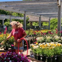 Prospect Hill Garden Center