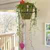 Red Hill Greenhouse & Florist gift card