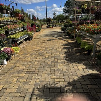 Handcart Garden Center - Walkway among the plants - Nurseries & Gardening Near Me - Dade City, Florida Handcart Garden Center - Walkway among the plants - Nurseries & Gardening Near Me - Dade City, Florida