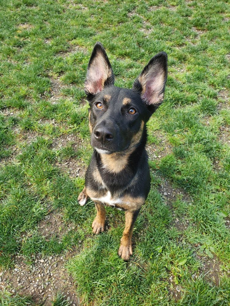 ROSCOE’S RANCH Updated September 2024 30 Reviews 10526 221st Pl