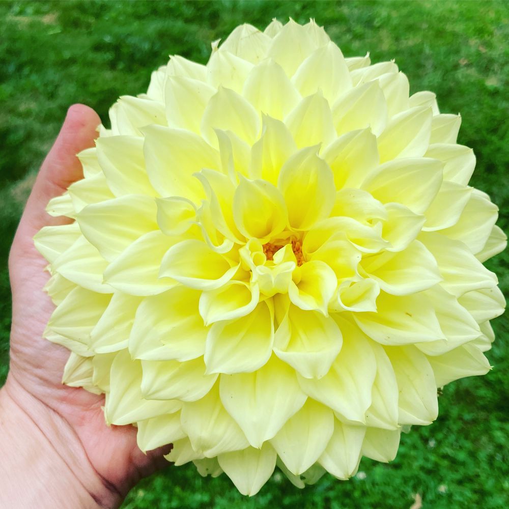 Food from The Arbor Farm