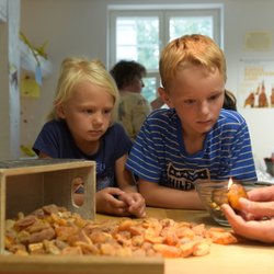 Deutsches Bernsteinmuseum - Experimente im Kinderbernsteinland