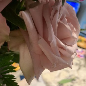 Rosies & Posies - Curling rose petals and fully opened old roses - Florists Near Me - Gilroy, California Rosies & Posies - Curling rose petals and fully opened old roses - Florists Near Me - Gilroy, California