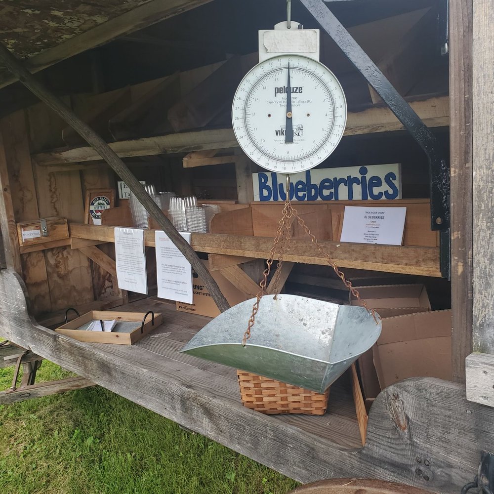Bernard's Green Valley Farm - Cart - Pick Your Own Farms Near Me - Slatington, Pennsylvania
