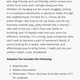 Nowhere in this current description (screenshot taken today) does it say another dog is required. STILL. Nowhere in this current description (screenshot taken today) does it say another dog is required. STILL.