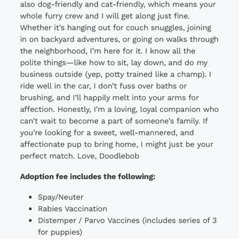 2 Blondes All Breed Rescue - Nowhere in this current description (screenshot taken today) does it say another dog is required. STILL. - Animal Shelters Near Me 2 Blondes All Breed Rescue - Nowhere in this current description (screenshot taken today) does it say another dog is required. STILL. - Animal Shelters Near Me