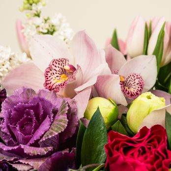 French Florist - Florists Near Me - Boca Raton, Florida French Florist - Florists Near Me - Boca Raton, Florida
